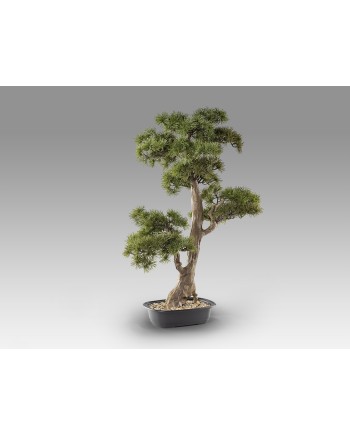 CHOKKAN - BONSAI 83CM